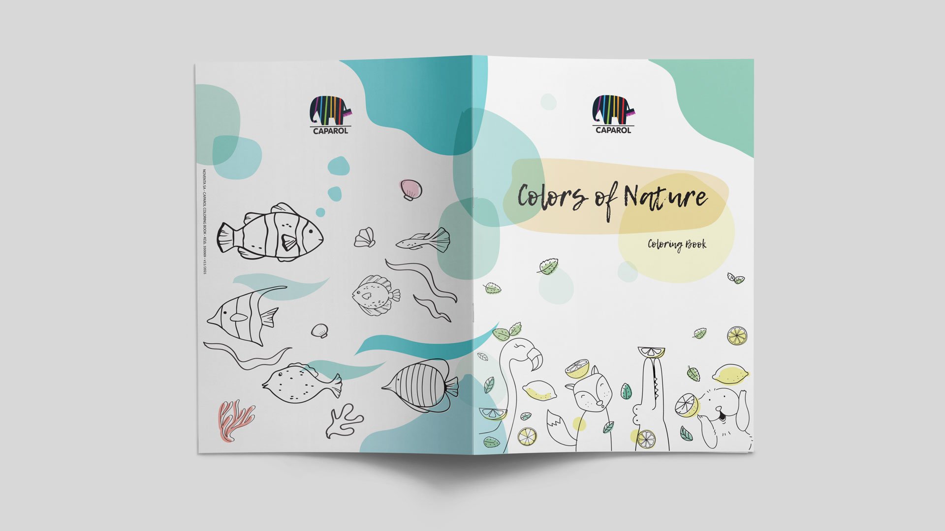 work/projects/Caparol-Colorbook_1.jpg